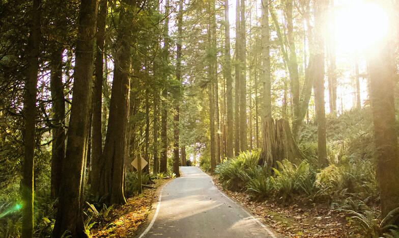 5 Scooter-Friendly UK Trails